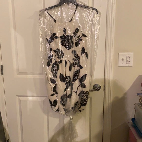 ROMEO + JULIET 🖤🤍ROSES🤍🖤DRESS - Picture 2 of 12